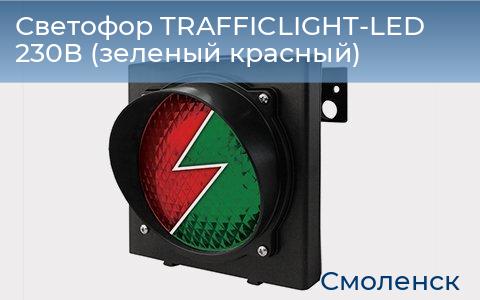Светофор TRAFFICLIGHT-LED 230В (зеленый+красный), smolensk.doorhan.ru