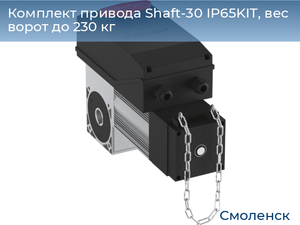 Комплект привода Shaft-30 IP65KIT, вес ворот до 230 кг, smolensk.doorhan.ru