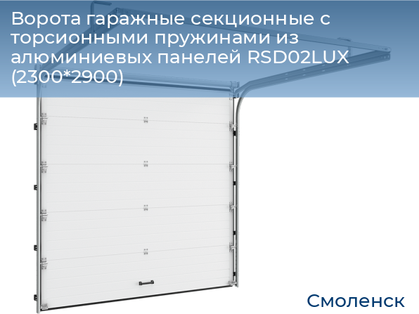 Ворота гаражные секционные с торсионными пружинами из алюминиевых панелей RSD02LUX (2300*2900), smolensk.doorhan.ru