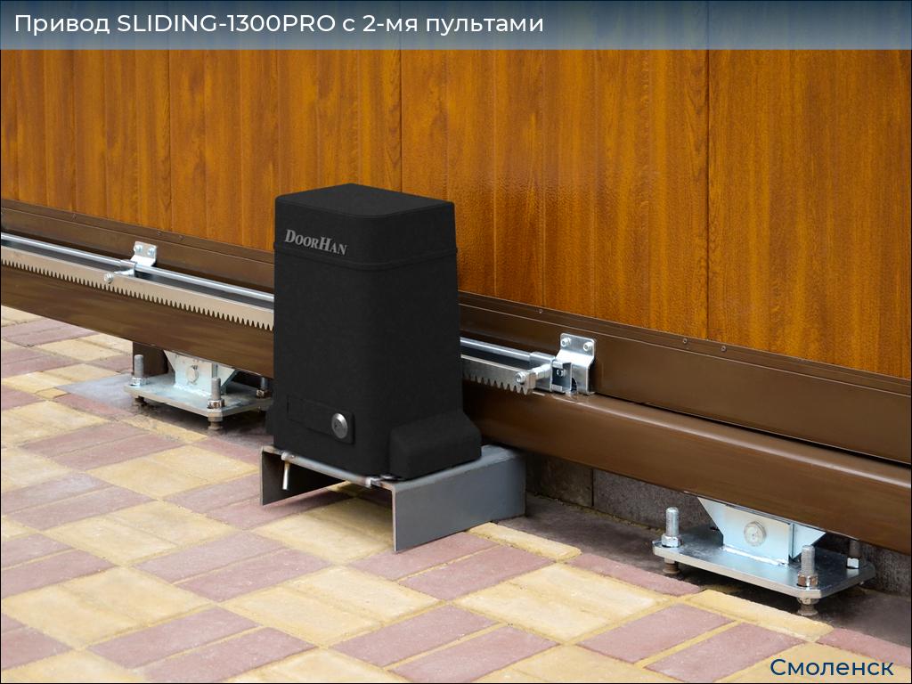 Привод SLIDING-1300PRO c 2-мя пультами, smolensk.doorhan.ru