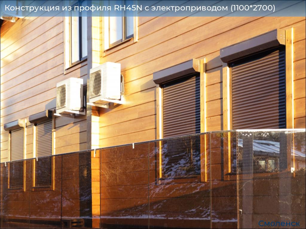 Конструкция из профиля RH45N с электроприводом (1100*2700), smolensk.doorhan.ru