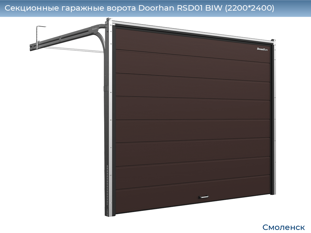Секционные гаражные ворота Doorhan RSD01 BIW (2200*2400), smolensk.doorhan.ru