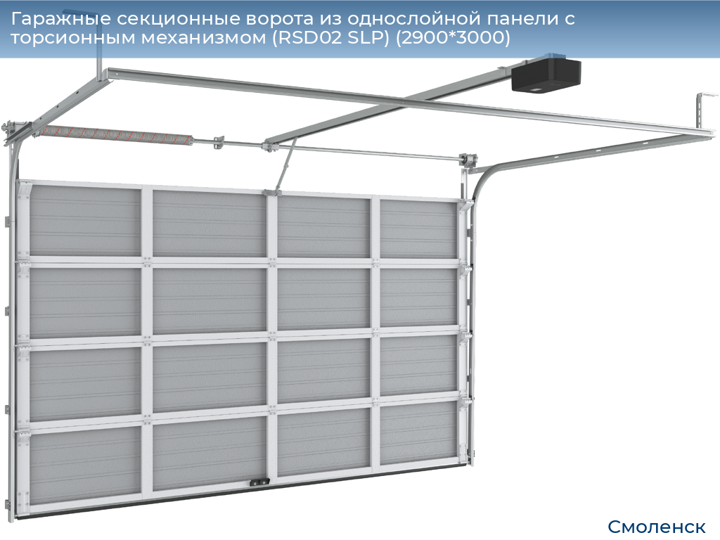 Гаражные секционные ворота из однослойной панели с торсионным механизмом (RSD02 SLP) (2900*3000), smolensk.doorhan.ru