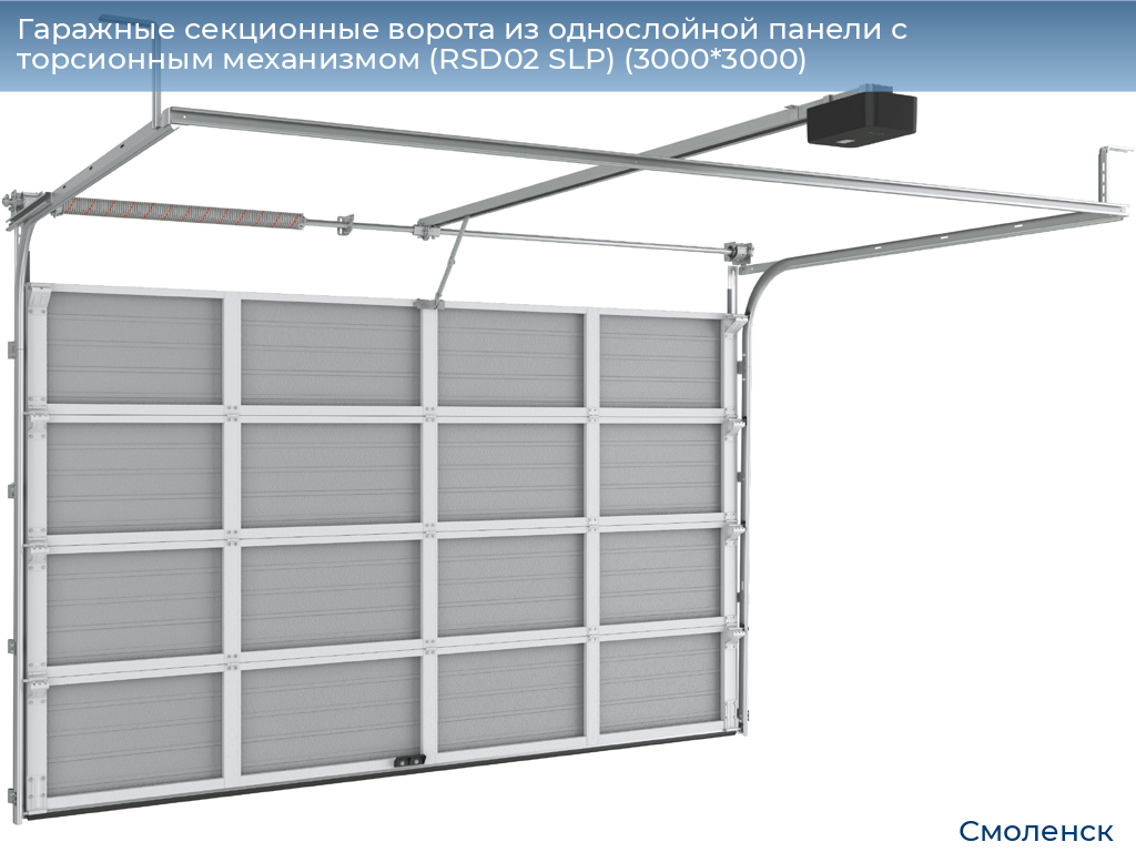 Гаражные секционные ворота из однослойной панели с торсионным механизмом (RSD02 SLP) (3000*3000), smolensk.doorhan.ru