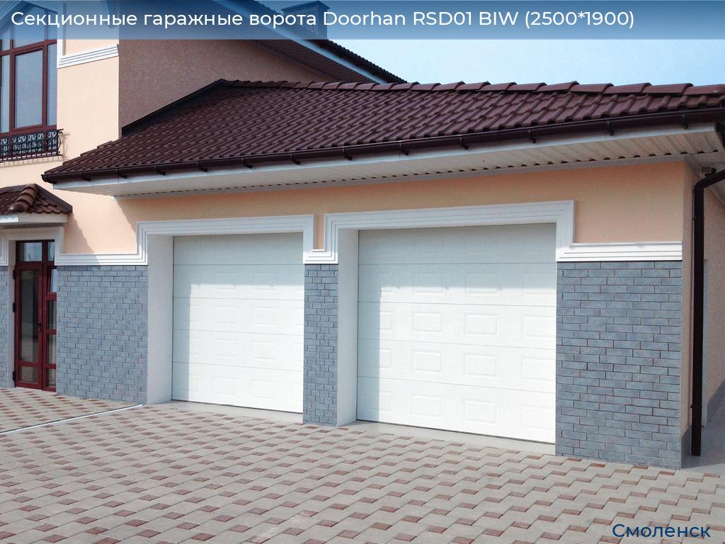 Секционные гаражные ворота Doorhan RSD01 BIW (2500*1900), smolensk.doorhan.ru