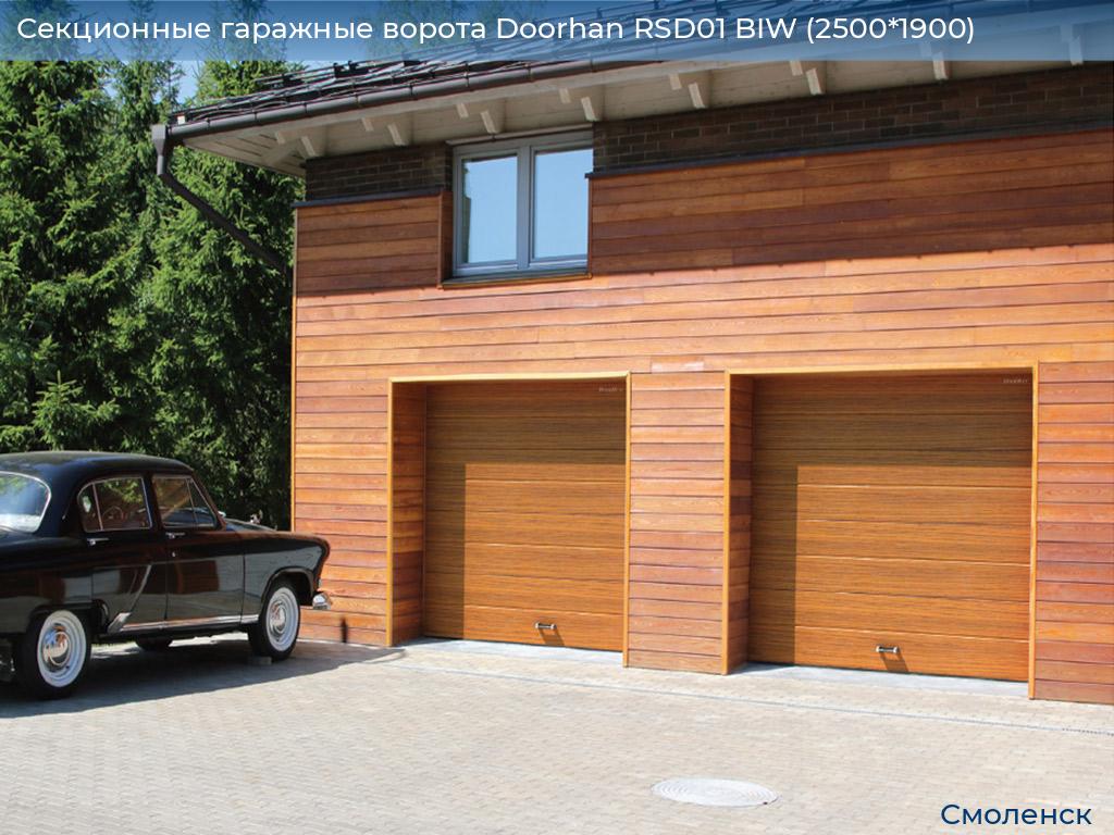 Секционные гаражные ворота Doorhan RSD01 BIW (2500*1900), smolensk.doorhan.ru