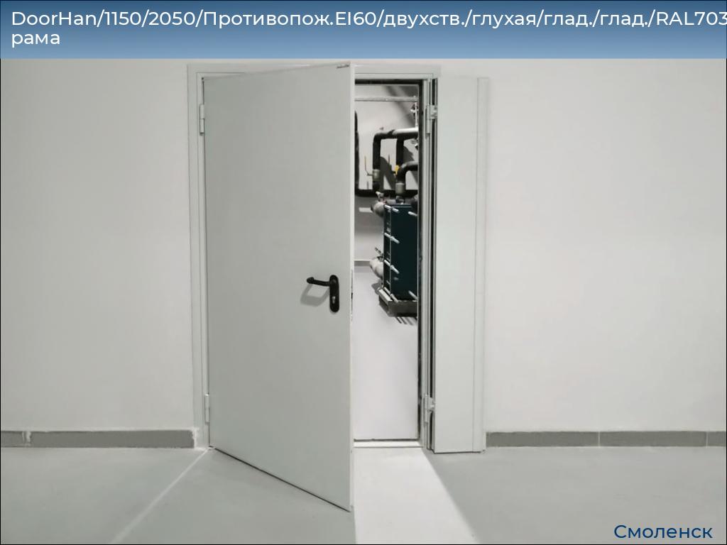 DoorHan/1150/2050/Противопож.EI60/двухств./глухая/глад./глад./RAL7035/лев./угл. рама, smolensk.doorhan.ru