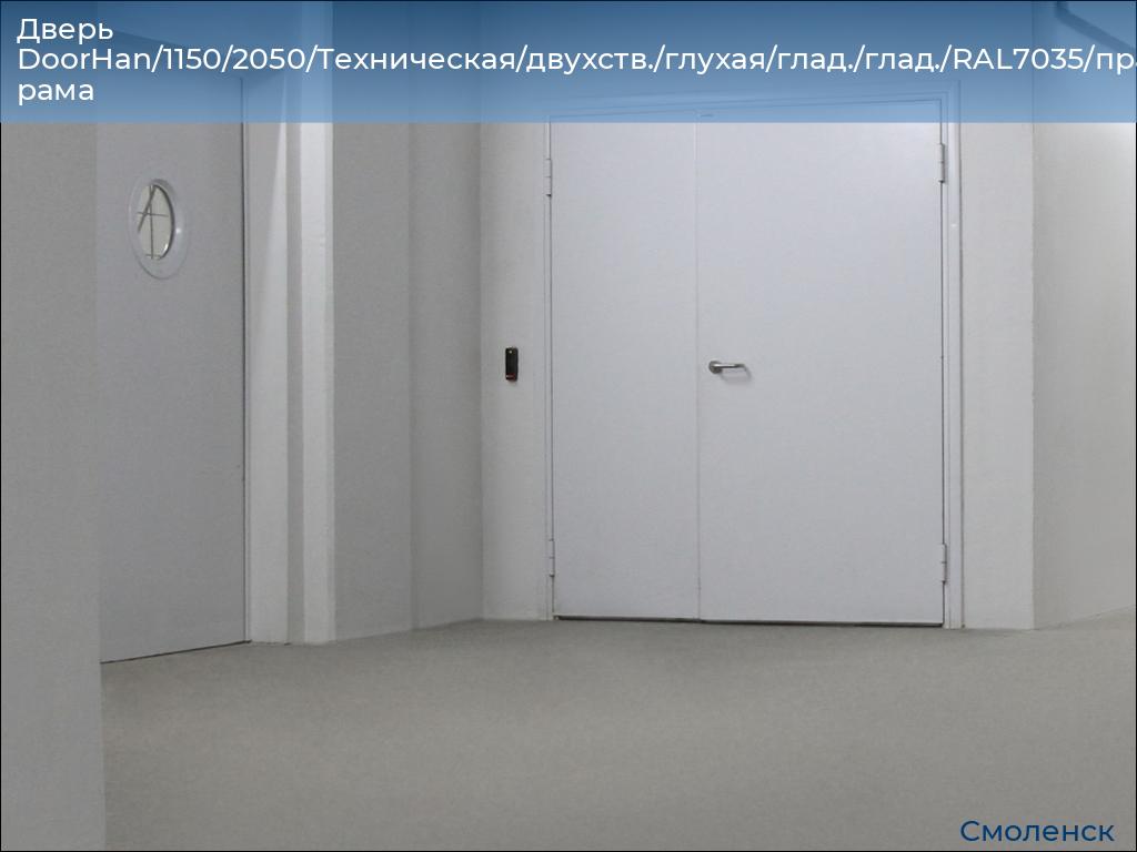 Дверь DoorHan/1150/2050/Техническая/двухств./глухая/глад./глад./RAL7035/прав./угл. рама, smolensk.doorhan.ru