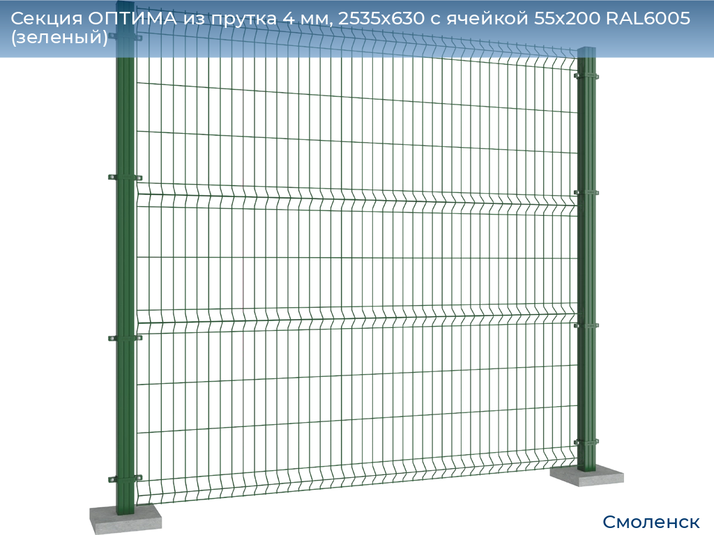 Секция ОПТИМА из прутка 4 мм, 2535x630 с ячейкой 55х200 RAL6005 (зеленый), smolensk.doorhan.ru