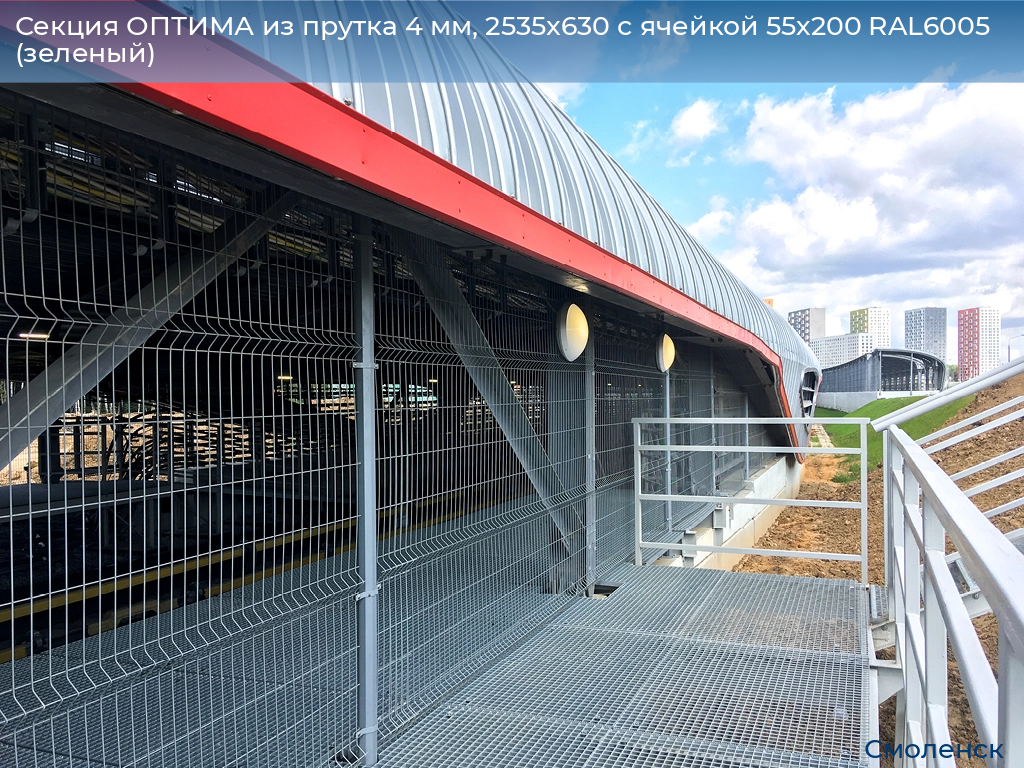 Секция ОПТИМА из прутка 4 мм, 2535x630 с ячейкой 55х200 RAL6005 (зеленый), smolensk.doorhan.ru