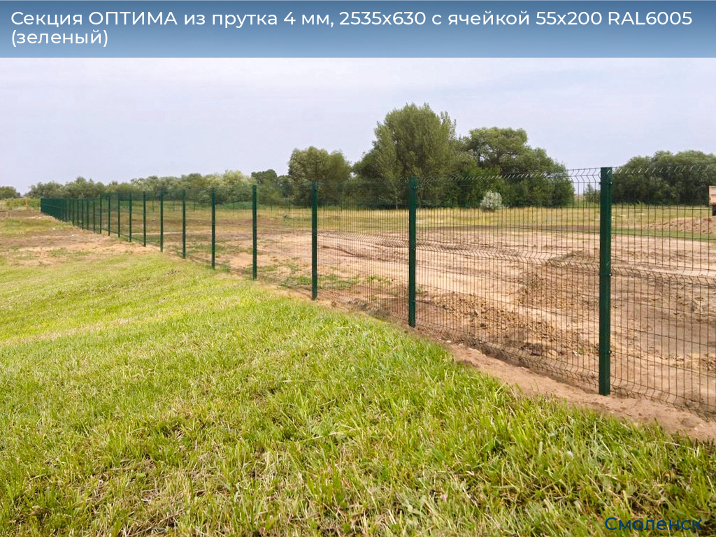 Секция ОПТИМА из прутка 4 мм, 2535x630 с ячейкой 55х200 RAL6005 (зеленый), smolensk.doorhan.ru