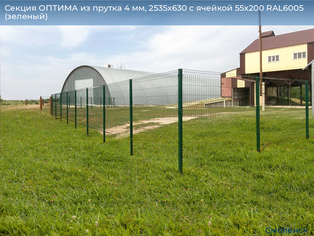 Секция ОПТИМА из прутка 4 мм, 2535x630 с ячейкой 55х200 RAL6005 (зеленый), smolensk.doorhan.ru