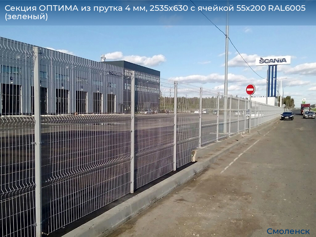 Секция ОПТИМА из прутка 4 мм, 2535x630 с ячейкой 55х200 RAL6005 (зеленый), smolensk.doorhan.ru