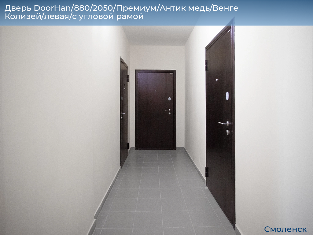 Дверь DoorHan/880/2050/Премиум/Антик медь/Венге Колизей/левая/с угловой рамой, smolensk.doorhan.ru