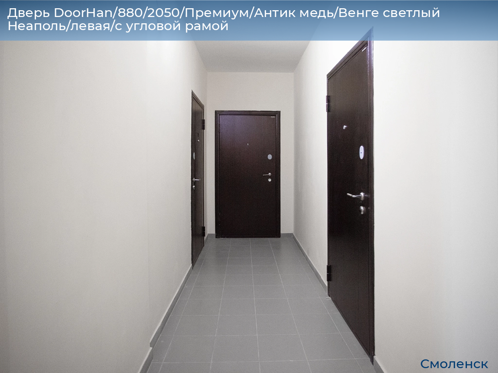 Дверь DoorHan/880/2050/Премиум/Антик медь/Венге светлый Неаполь/левая/с угловой рамой, smolensk.doorhan.ru