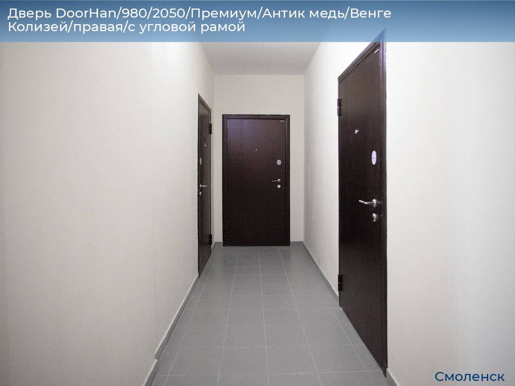 Дверь DoorHan/980/2050/Премиум/Антик медь/Венге Колизей/правая/с угловой рамой, smolensk.doorhan.ru